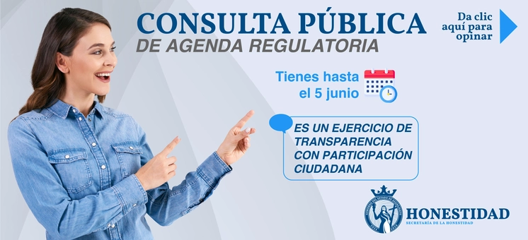 consultoria_publica